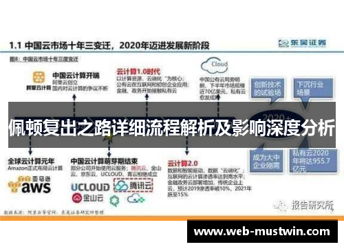 佩顿复出之路详细流程解析及影响深度分析